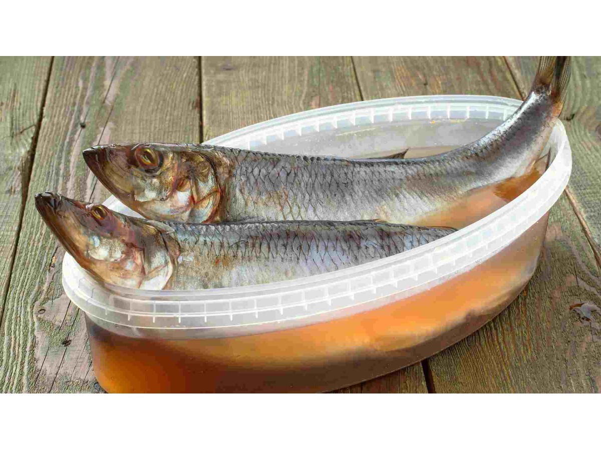 Пластиковая тара для рыбы, лотки и судки для рыбных изделий