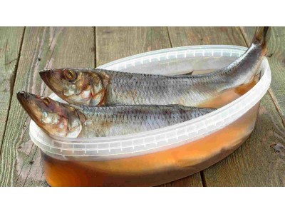Тара для риби - збереження смаку в кожному лотку